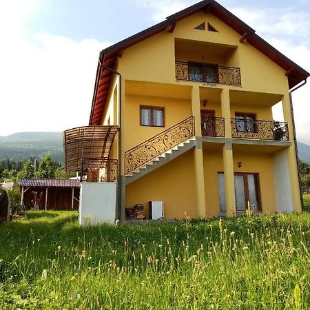 Hotel Casa Dana Borşa Zewnętrze zdjęcie