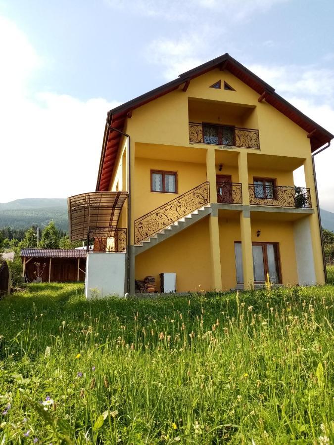 Hotel Casa Dana Borşa Zewnętrze zdjęcie