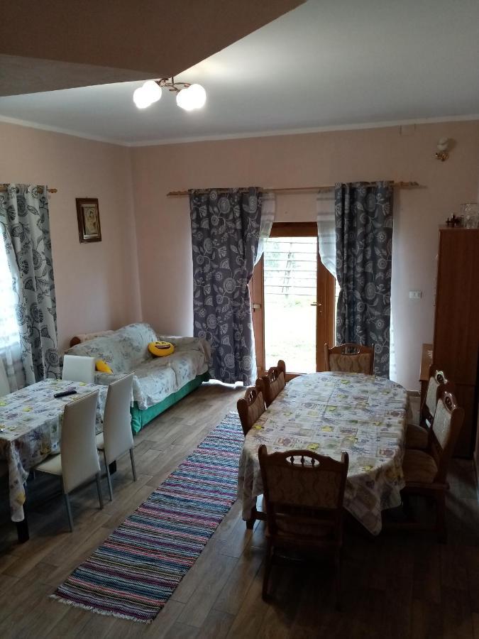 Hotel Casa Dana Borşa Zewnętrze zdjęcie