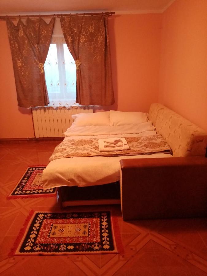 Hotel Casa Dana Borşa Zewnętrze zdjęcie