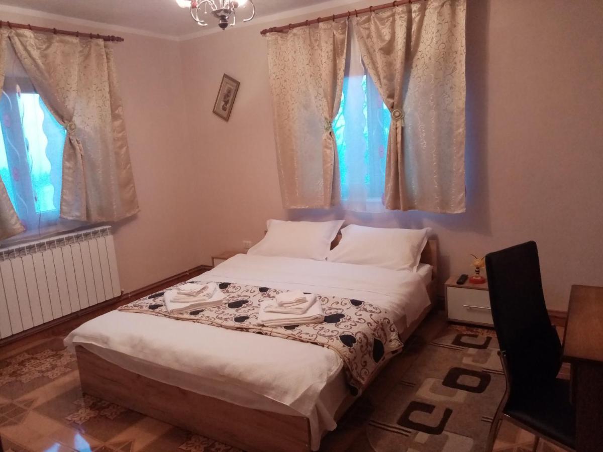 Hotel Casa Dana Borşa Zewnętrze zdjęcie