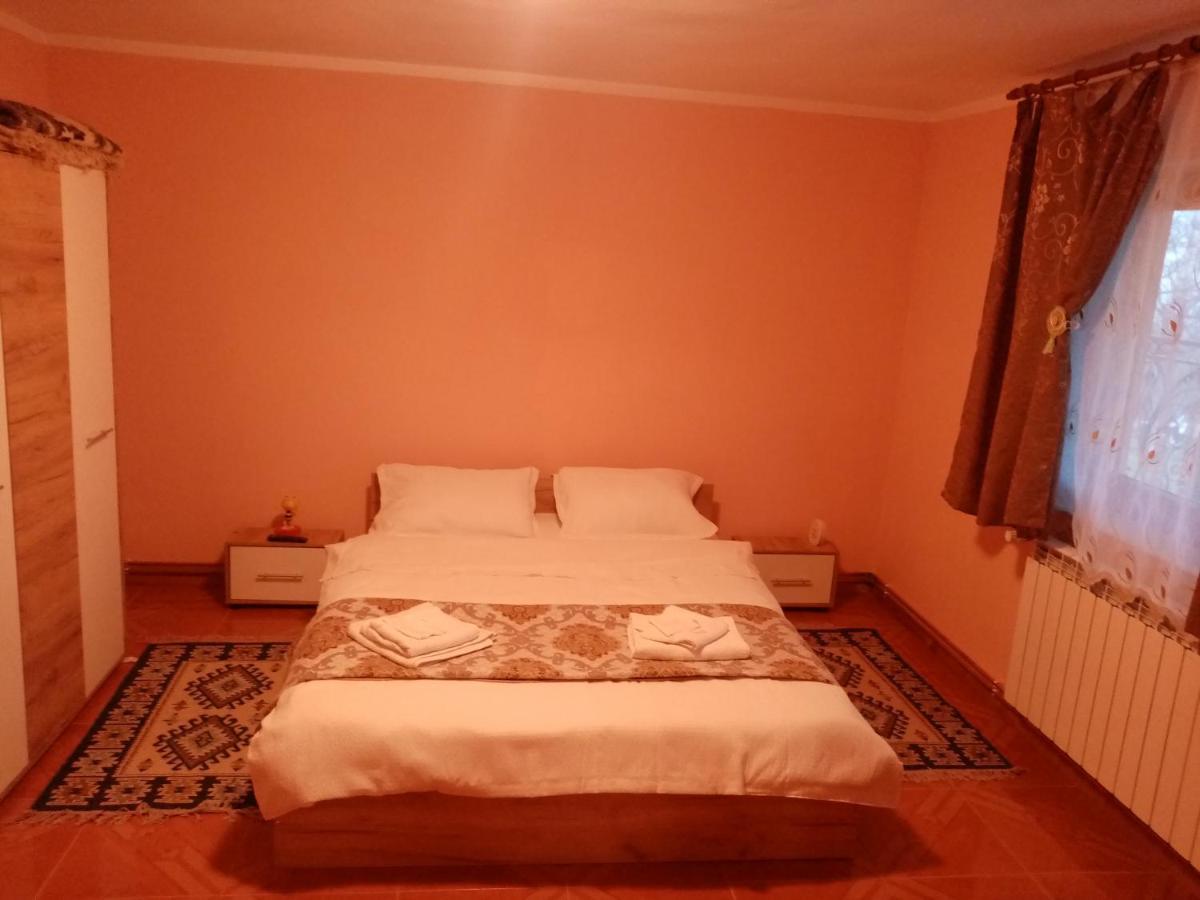 Hotel Casa Dana Borşa Zewnętrze zdjęcie