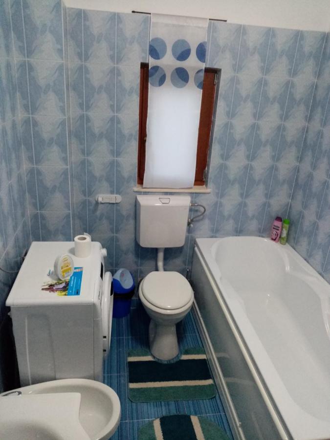 Hotel Casa Dana Borşa Zewnętrze zdjęcie