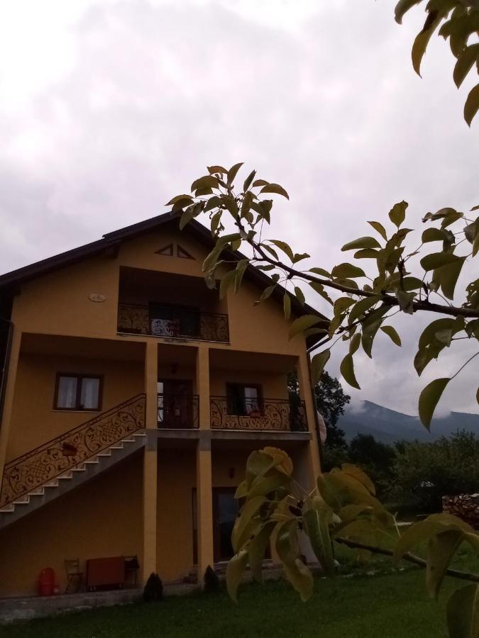Hotel Casa Dana Borşa Zewnętrze zdjęcie