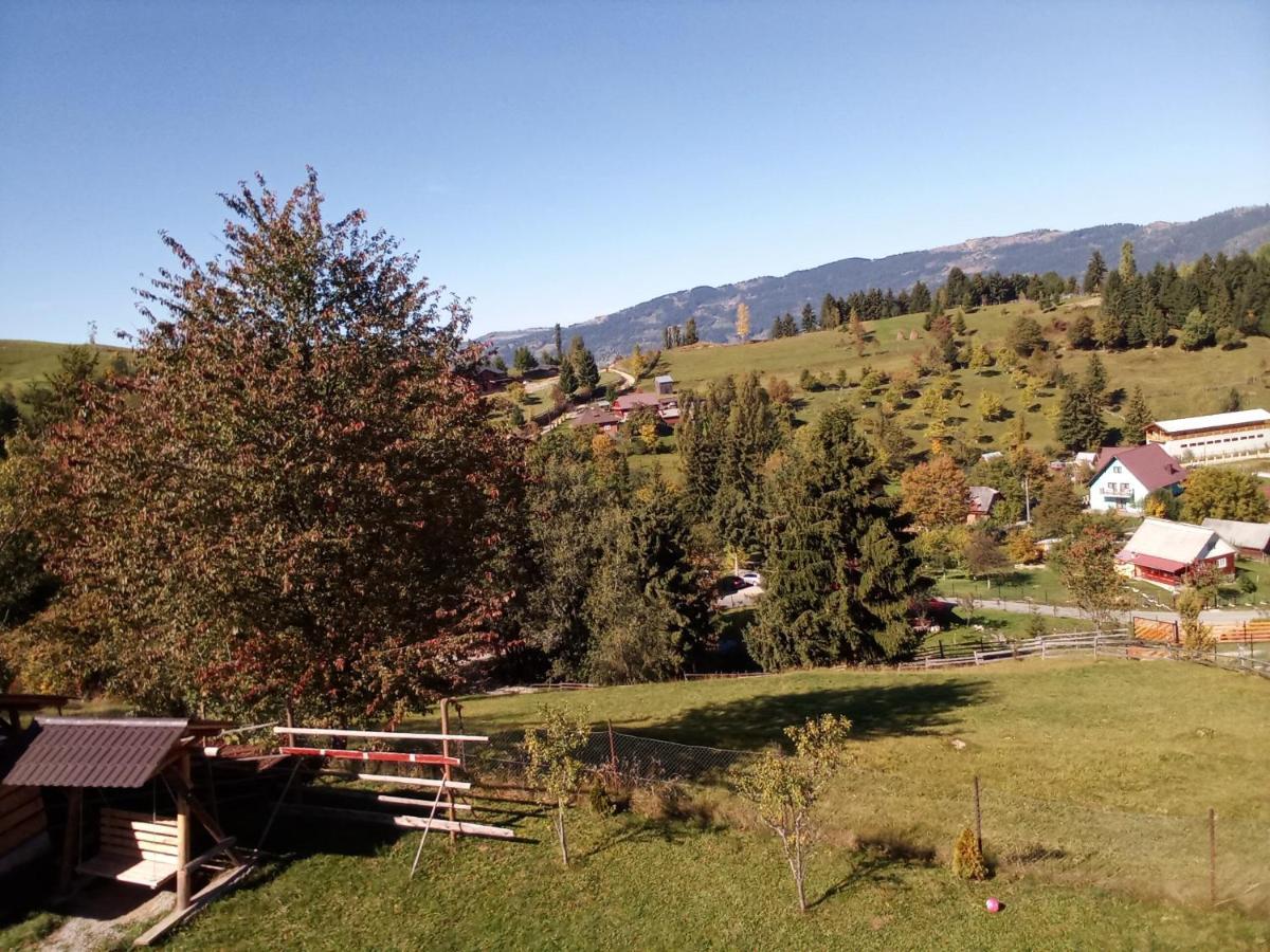Hotel Casa Dana Borşa Zewnętrze zdjęcie