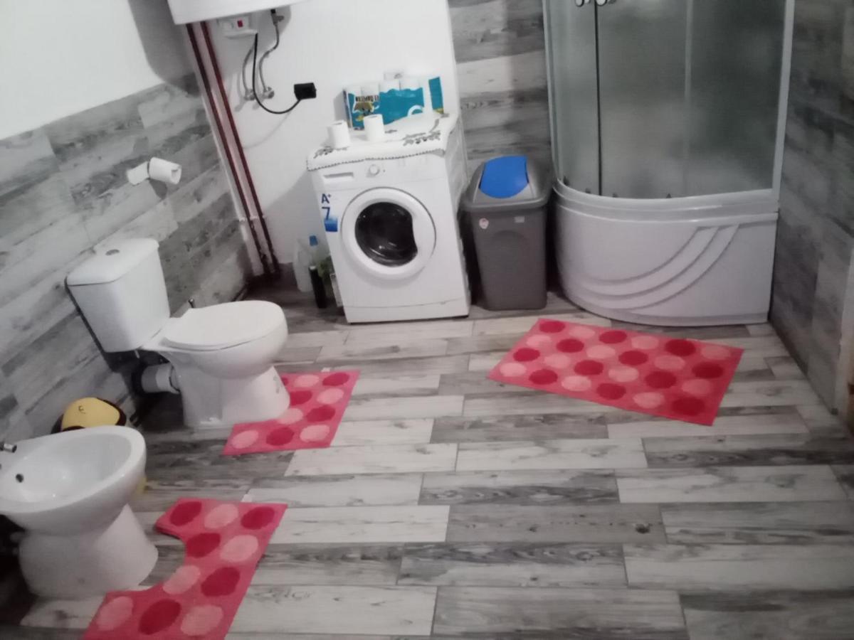 Hotel Casa Dana Borşa Zewnętrze zdjęcie