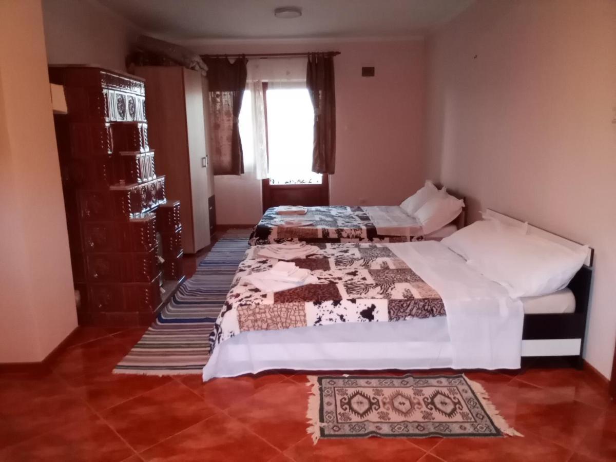 Hotel Casa Dana Borşa Zewnętrze zdjęcie