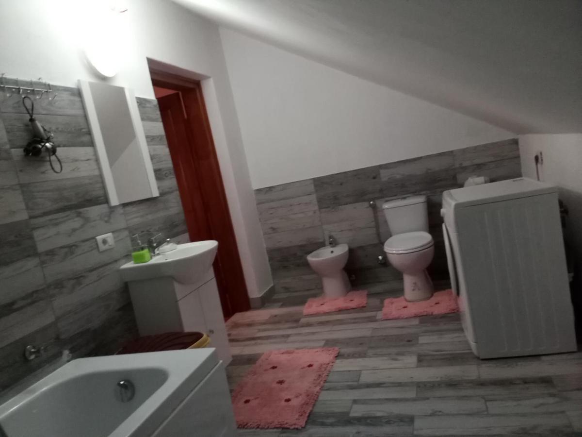 Hotel Casa Dana Borşa Zewnętrze zdjęcie