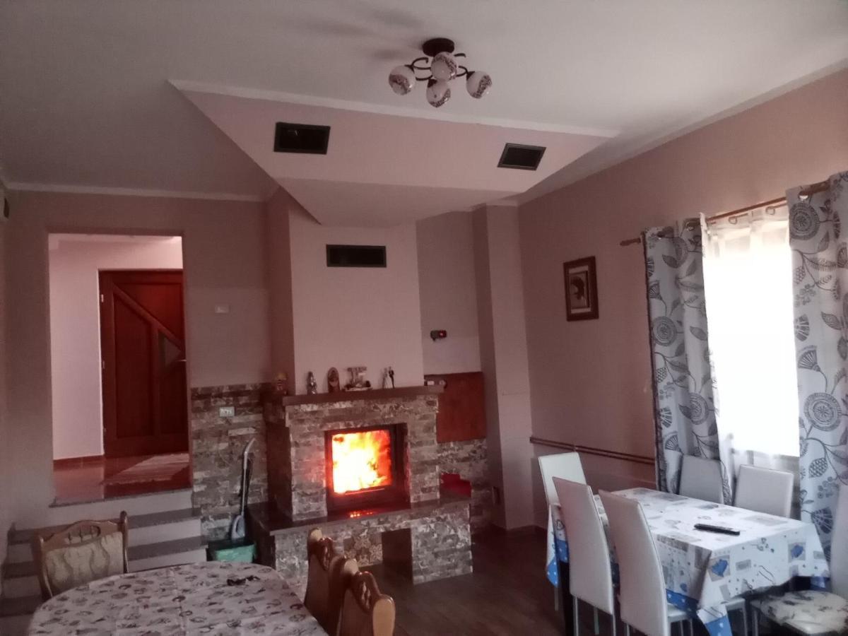 Hotel Casa Dana Borşa Zewnętrze zdjęcie