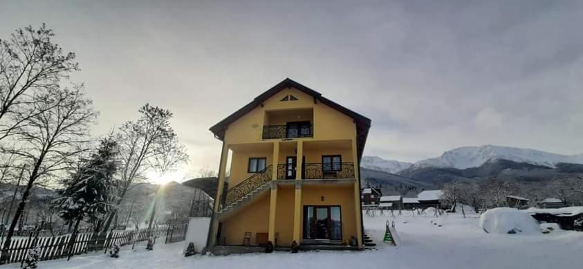 Hotel Casa Dana Borşa Zewnętrze zdjęcie